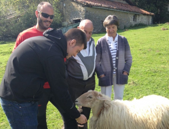 grupo de personas acariciando a una oveja